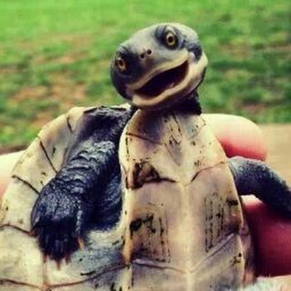 Meet your Posher, Shawn - Picture 1 of 1